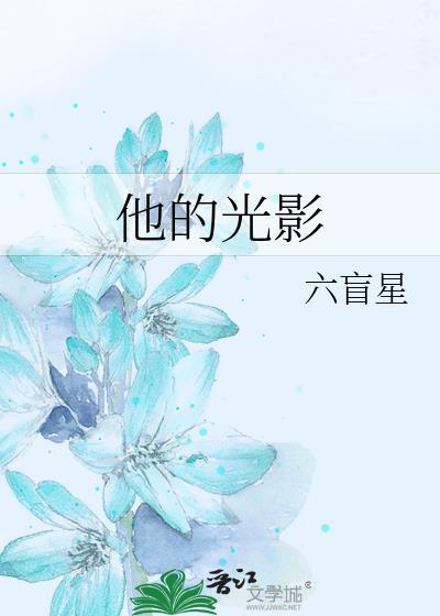 他的光影by六盲星txt