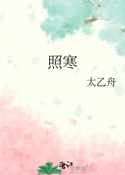 照寒太乙舟txt