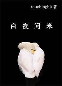 白夜问米讲什么