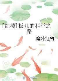 2010红楼梦板儿的扮演者
