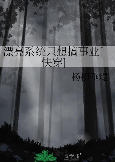 漂亮系统