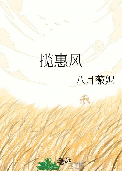 揽惠风TXT百度