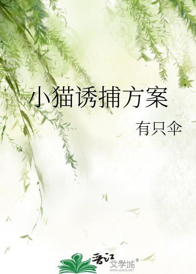 小猫诱捕方案晋江